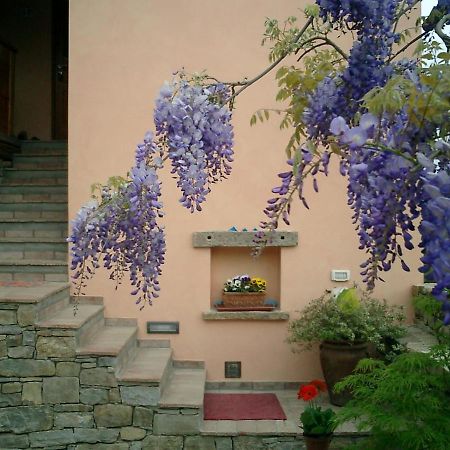 Il Glicine Bed & Breakfast San Dorligo della Valle Dış mekan fotoğraf