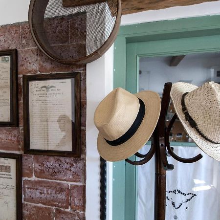 Il Glicine Bed & Breakfast San Dorligo della Valle Dış mekan fotoğraf