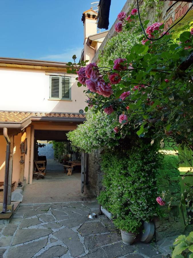 Il Glicine Bed & Breakfast San Dorligo della Valle Dış mekan fotoğraf