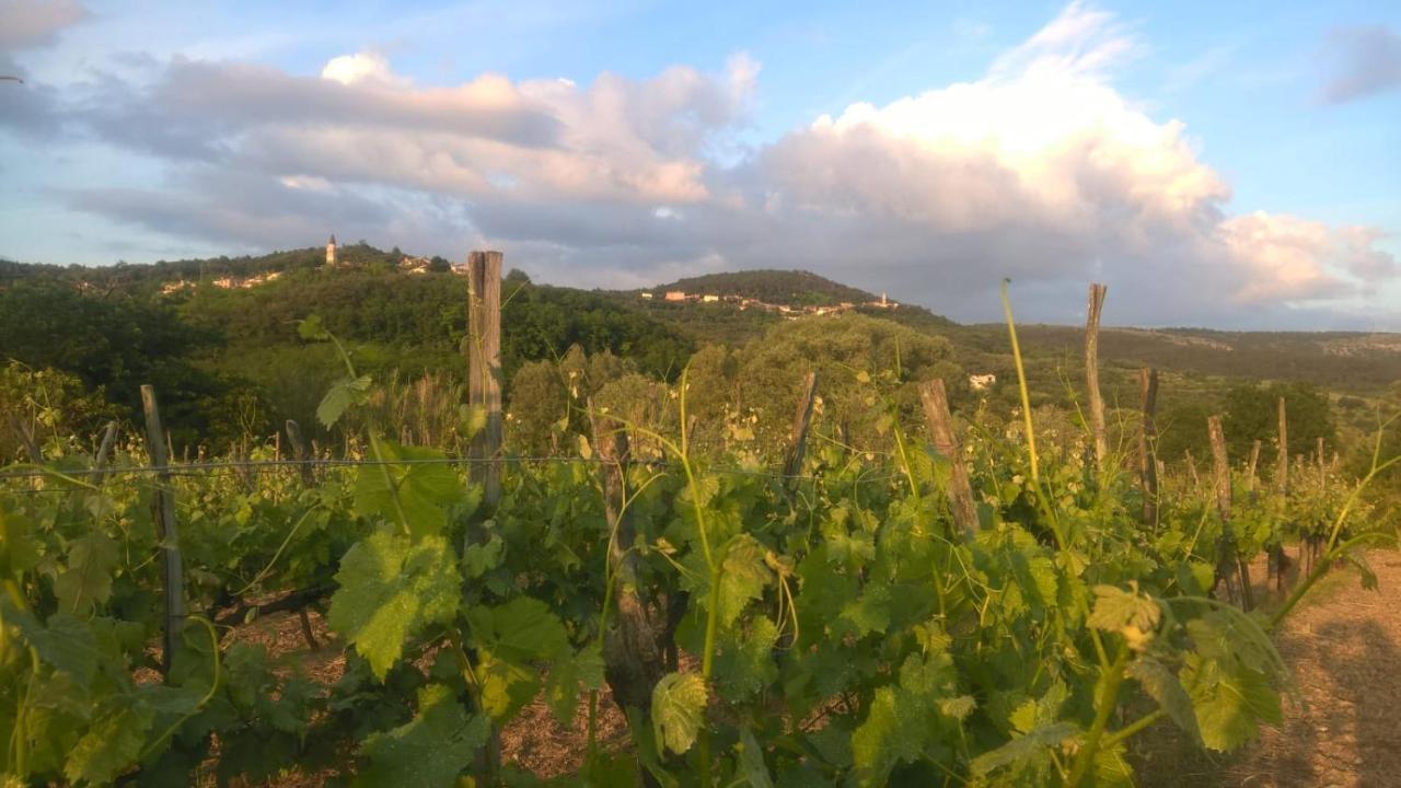Il Glicine Bed & Breakfast San Dorligo della Valle Dış mekan fotoğraf