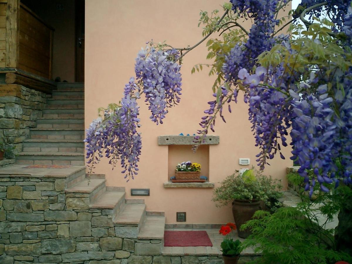 Il Glicine Bed & Breakfast San Dorligo della Valle Dış mekan fotoğraf