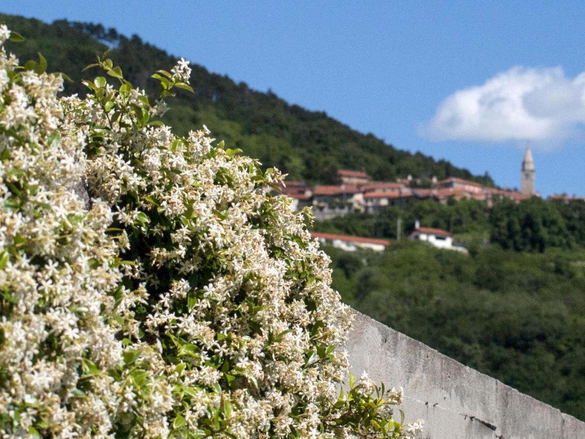 Il Glicine Bed & Breakfast San Dorligo della Valle Dış mekan fotoğraf