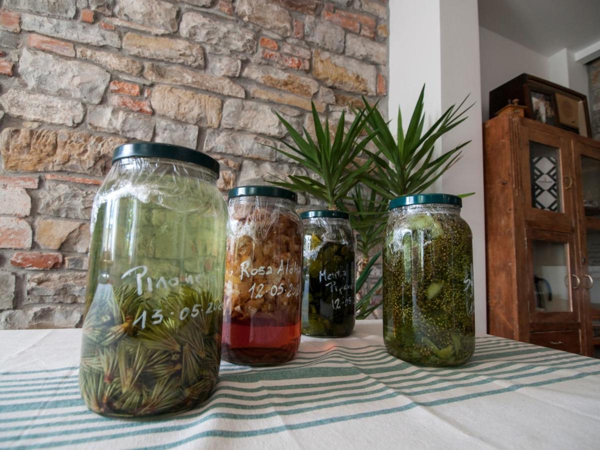 Il Glicine Bed & Breakfast San Dorligo della Valle Dış mekan fotoğraf