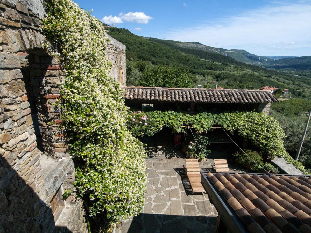 Il Glicine Bed & Breakfast San Dorligo della Valle Dış mekan fotoğraf