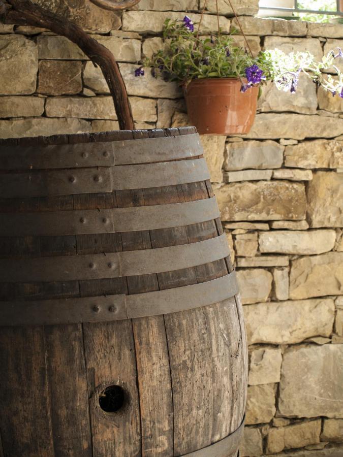 Il Glicine Bed & Breakfast San Dorligo della Valle Dış mekan fotoğraf