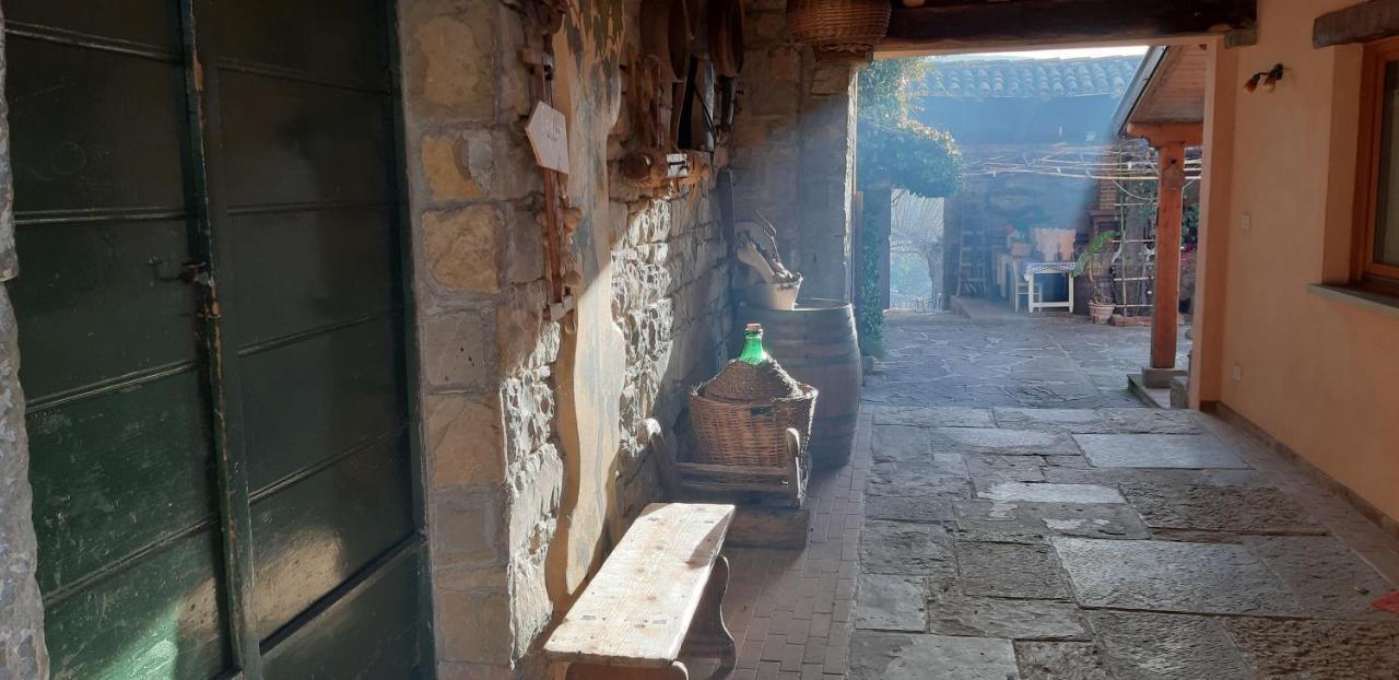 Il Glicine Bed & Breakfast San Dorligo della Valle Dış mekan fotoğraf